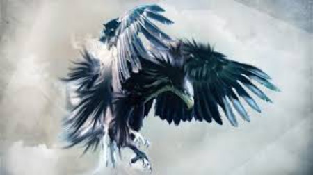 Eagle Flare.jpg