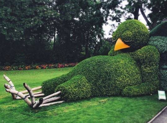 Eagle Bush.jpg
