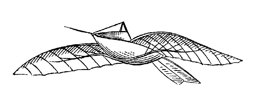 LeBris1867.gif