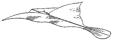 BREAREY1879.gif