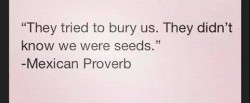 Seeds.jpg