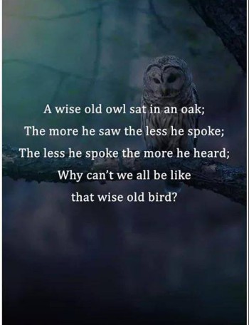 Wise Man Know when to Speak.jpg