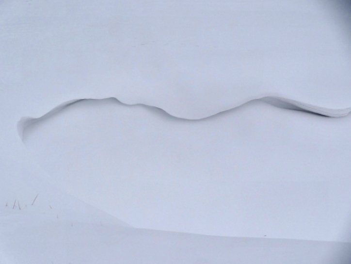 Snow Smile   2-8-15 sm.jpg