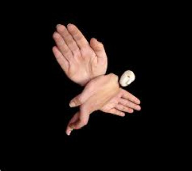 FingerHawk.jpg