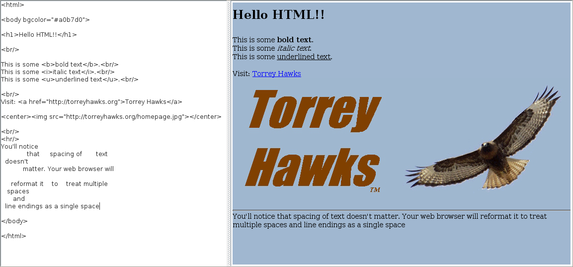 HTML_Editor.png