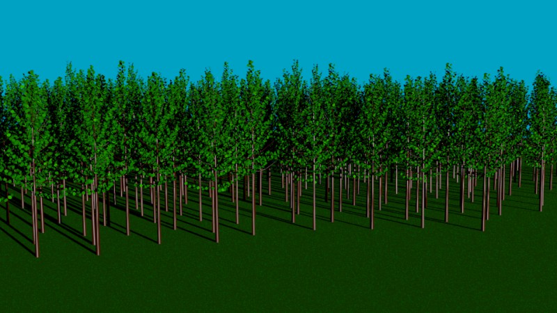 tree_line_800.jpg