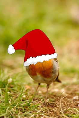 Santa's Under Cover.jpg