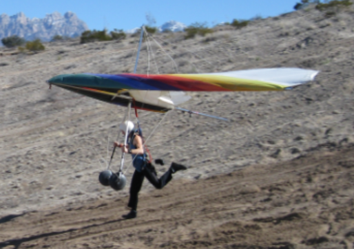 Wing Running #2 David..PNG