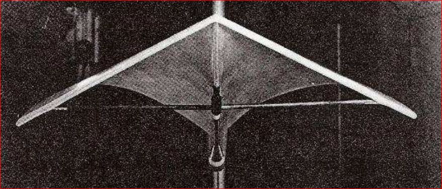 TopPartFig2in1962PaperPRSbyRogallo.JPG