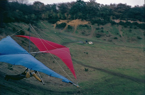 Split Wing Reduced.jpg