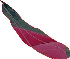 LEsupportLineARP.JPG
