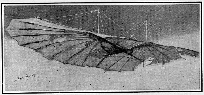 1906LilienthalHangGliderWORNfromUSEinUSA.jpg
