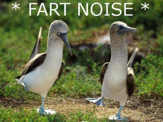 Alright, Who Farted.jpg
