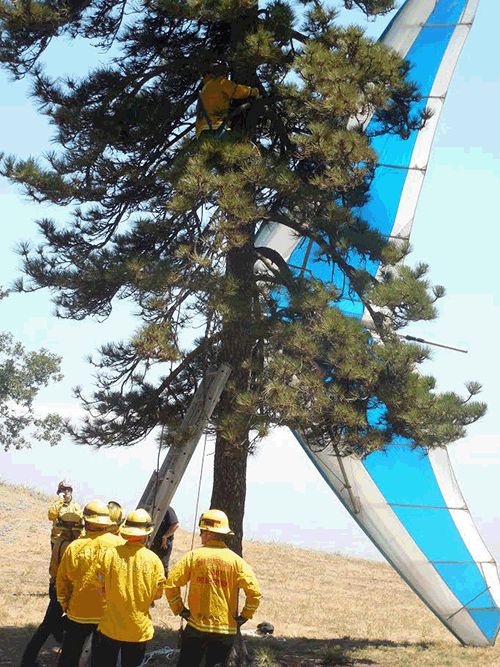 alpenhorn_news_6-29-2016-10-53-34-PM-9824120.gif.jpeg