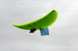 BAG WING.jpg