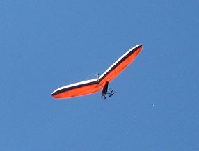 Robin above Dry Launch..JPG
