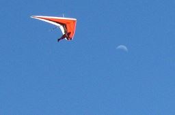 Look out for the moon Bill.JPG