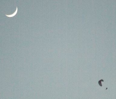 The moon trying to out do a PG Pilot.JPG