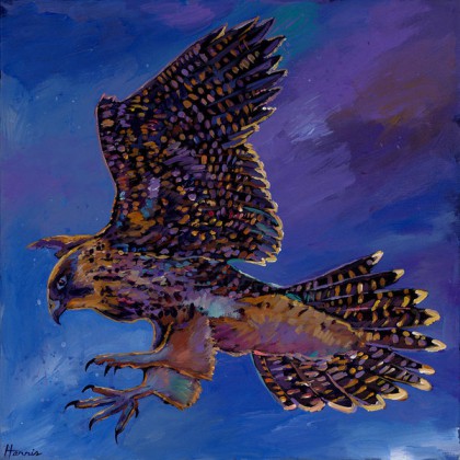 BLEW HAWK.jpg