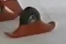 skioverwheel.JPG