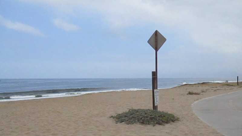 MVI_0007_0925e.jpg