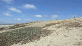 Dockweiler_2018_07_02s.gif
