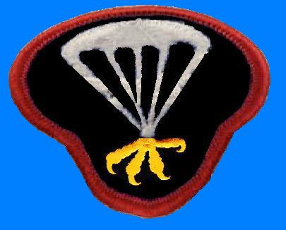 ParaPatch.JPG